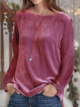 Stylish Pure Round neck Long sleeve Pleuche T-Shirts