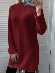 High Collar Plain Woman Long Shift Dress