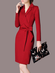 Lapel Bowknot Plain Pocket Bodycon Dress