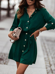 Long sleeve turn down neck skater dresses