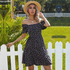 Fashion Floral print V neck Short sleeve Lacing Skater Dresses