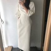 Elegant Ladies Office Dress