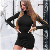 Solid Color Turtleneck Skinny Mini Dress