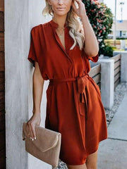 Pure Stand neck Loose Skater Dresses