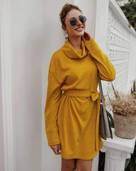 Fashion Pure Lacing High collar Long sleeve Knit Skater Dresses