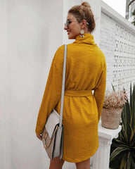 Fashion Pure Lacing High collar Long sleeve Knit Skater Dresses
