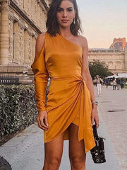 Fashion Pure Single Long sleeve Skater Dresses
