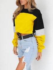 Splice Round Neck Long Sleeve Colorful Sweatshirts