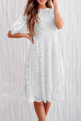 Casual Solid Lace O Neck Cake Skirt Skater Dresses