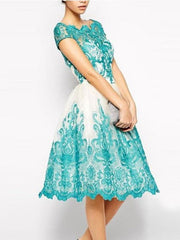 Waisted Lacy Slim Fit Mini Evening Dress