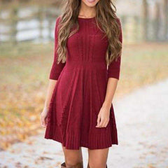 Casual Pure Round neck Long sleeve Knit Skater Dresses