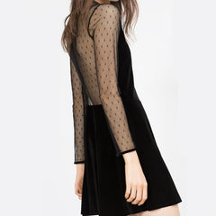 Fashion Gored Long sleeve Lace Shift Dresses