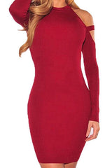 Crew Neck Plain Long Sleeve Bodycon Dresses