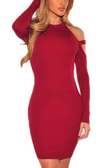 Crew Neck Plain Long Sleeve Bodycon Dresses