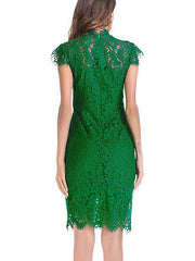 Women secy lace fashion short sleeve bodycon dresses evening dresses