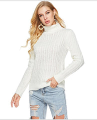 Fashion High collar Long sleeve Sweaters