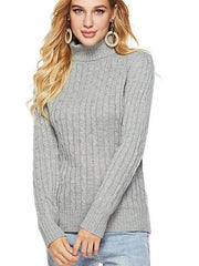 Fashion High collar Long sleeve Sweaters