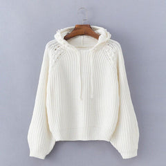Fashion Hooded Long Sleeve Plain Knitting Sweaters