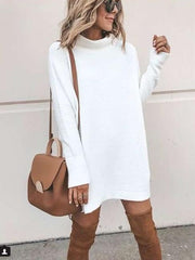 Fashion High collar Long sleeve Sweaters