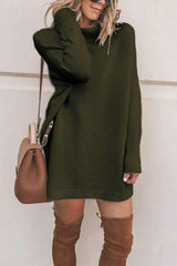 Fashion High collar Long sleeve Sweaters