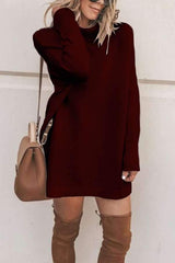 Fashion High collar Long sleeve Sweaters