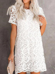 Casual Solid Lace O Neck Straight Dresses