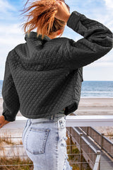 Casual Long Sleeve Lapel Solid Color Cropped Jackets