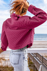 Casual Long Sleeve Lapel Solid Color Cropped Jackets