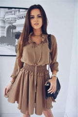 Fashion Lapel Pure Long sleeve Skater Dresses