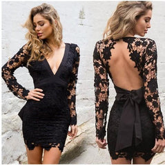 Sexy V neck Lace Skeleton Bodycon Dresses