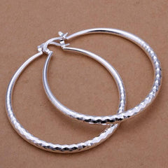 Silver Round Pretty Elegant Earrings