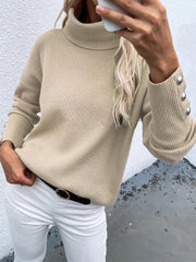 Women's Sweaters Turtleneck Solid Long Sleeve Knitted Sweater