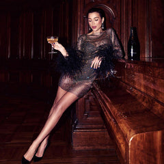 Feather Shimmer Mesh Dress
