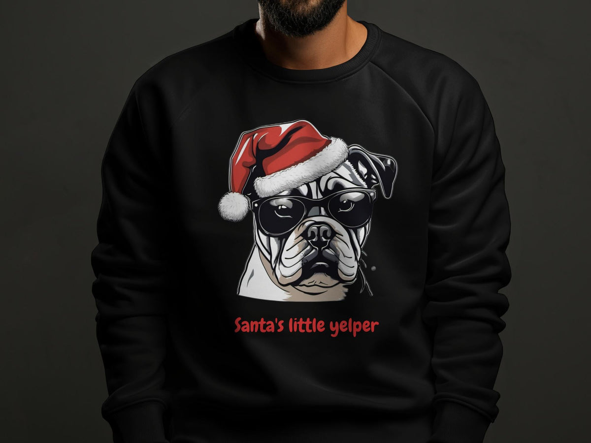 Bulldog puppy Long Sleeve T-Shirt, Bulldog Mommy Long Sleeve Tee, Bulldog Puppy Mothers Day Gift Tee, Dog Mom Bulldog Lover Gift, Dog