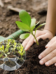 Biodegradable Nonwoven Fabric Nursery Plant Grow Bags Seedling Growing Planter Planting Pots Garden Eco-Friendly Ventilate Bag