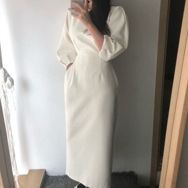 Elegant Ladies Office Dress