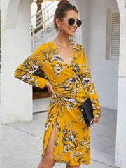 Fashion Print Drape V neck Long sleeve Skater Dresses