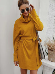 Fashion Pure Lacing High collar Long sleeve Knit Skater Dresses