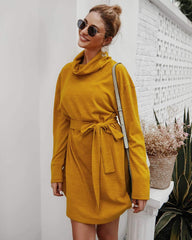 Fashion Pure Lacing High collar Long sleeve Knit Skater Dresses