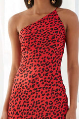 Sexy Single shoulder Leopard print Skater Dresses