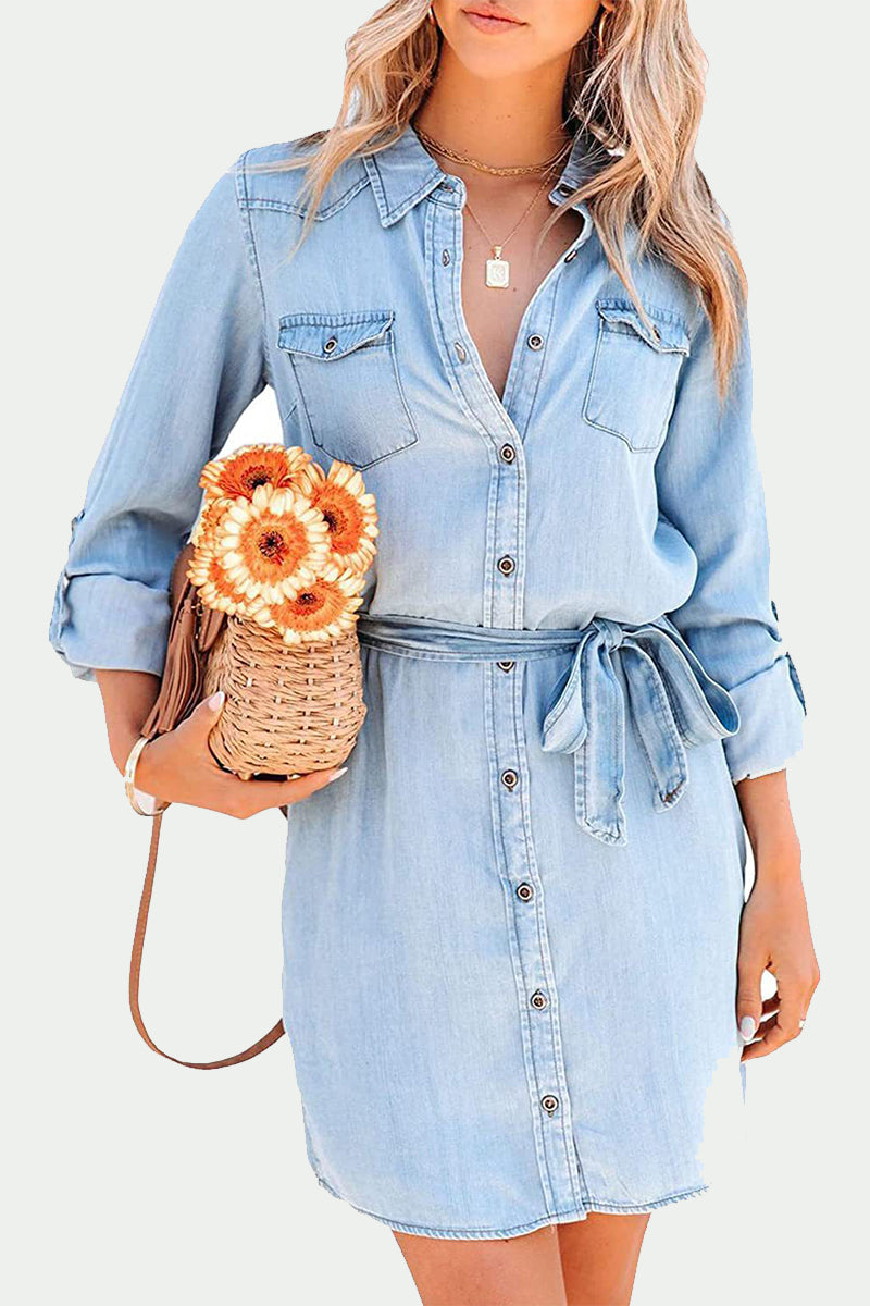 Elegant Solid Frenulum Turndown Collar Long Sleeve Loose Denim Dresses Skater Dresses