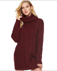 New High collar  Long sleeve Long Sweaters