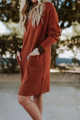 Loose Pure Long sleeve V neck Shift Dresses