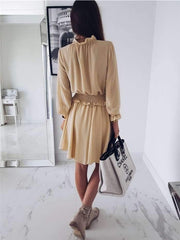 Fashion Lapel Pure Long sleeve Skater Dresses