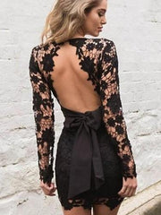 Sexy V neck Lace Skeleton Bodycon Dresses